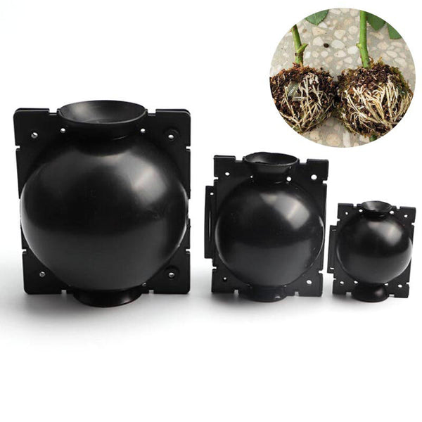 1/2/5x tree Plant Rooting Ball Grafting Rooting Growing Box cover Breeding Case for Garden Plant high-pressure propagation box
