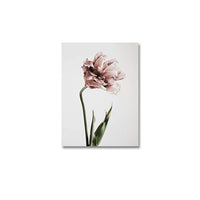 Elegant Pink Green Tulips Botanical Floral Posters Canvas Paintings  Wall Art Pictures for Living Room Bedroom Home Decoration