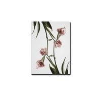 Elegant Pink Green Tulips Botanical Floral Posters Canvas Paintings  Wall Art Pictures for Living Room Bedroom Home Decoration