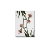 Elegant Pink Green Tulips Botanical Floral Posters Canvas Paintings  Wall Art Pictures for Living Room Bedroom Home Decoration