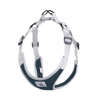 Reflective Dog Harness And Leash Set Pet Puppies Cat Vest Harness Dog Soft Breathable Mesh Chest Strap for Small Medium Dogs