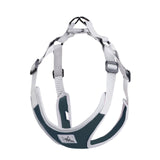 Reflective Dog Harness And Leash Set Pet Puppies Cat Vest Harness Dog Soft Breathable Mesh Chest Strap for Small Medium Dogs