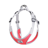 Reflective Dog Harness And Leash Set Pet Puppies Cat Vest Harness Dog Soft Breathable Mesh Chest Strap for Small Medium Dogs