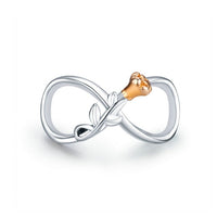 BAMOER Infinity Series Jewelry, Family Forever Charms, 925 Sterling Silver Clear Crystal Charm for Charm Bracelet
