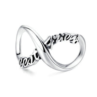 BAMOER Infinity Series Jewelry, Family Forever Charms, 925 Sterling Silver Clear Crystal Charm for Charm Bracelet