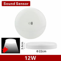 LED PIR Motion Sensor Ceiling Light 12W 24W Modern Lamp Surface Mounted Auto Smart Sounds Control AC 110V 220V Round Panel Light