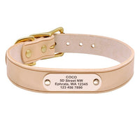 Personalized Dog Collar Velvet Leather Soft Custom Dog Collars Elegant Pet Collars for Pitbull Medium Large Dogs L XL